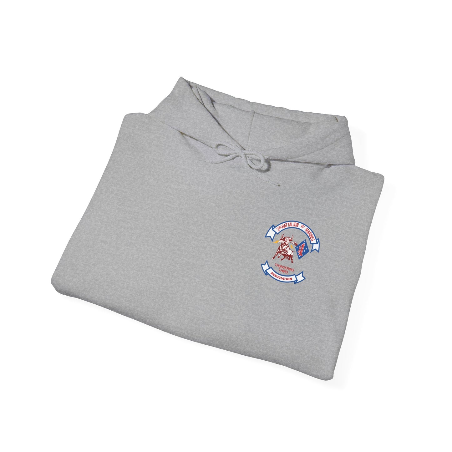 3/1 Association Hoodie
