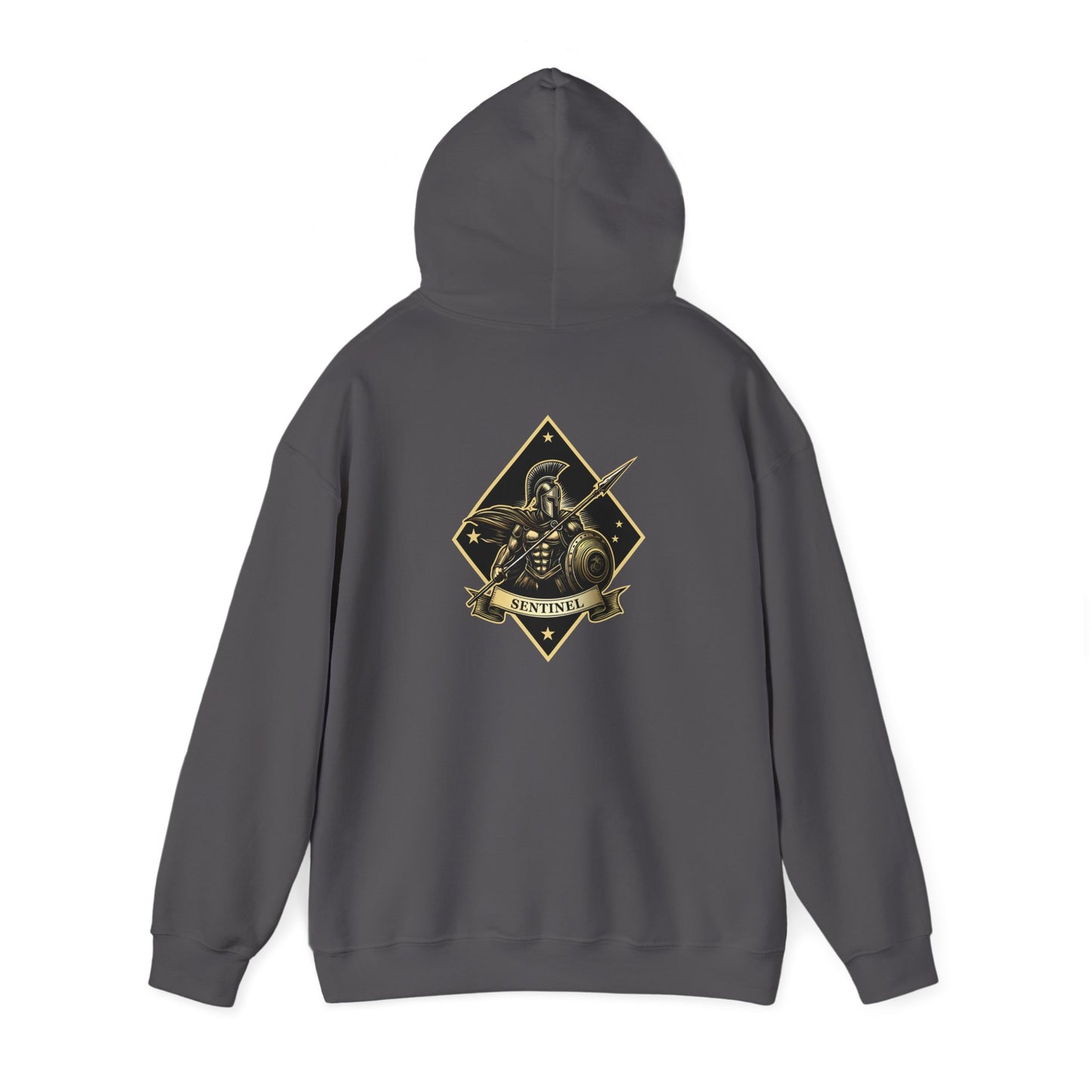 1st Marine Regiment White Logo Sentinel Company Hoodie