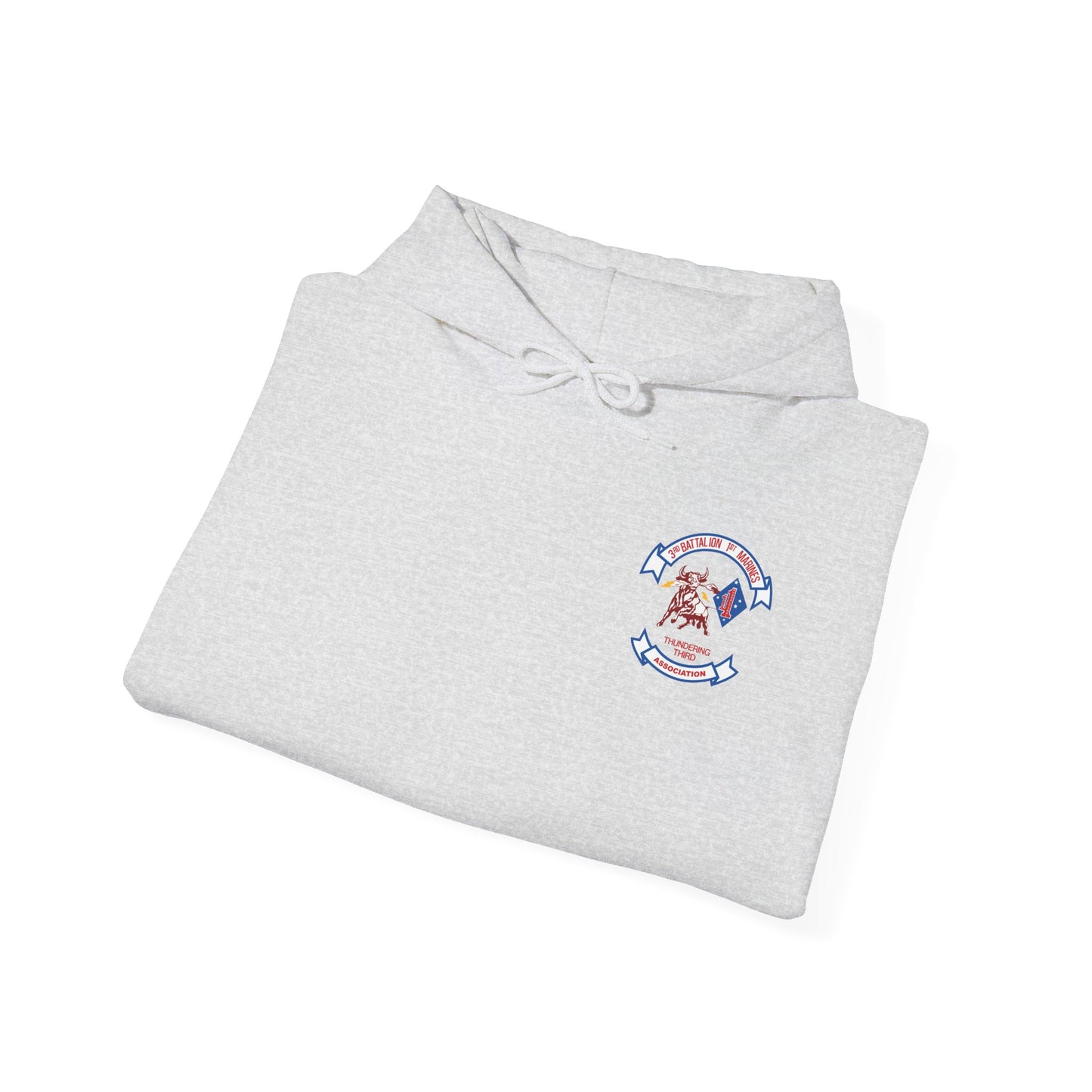 3/1 Association Hoodie