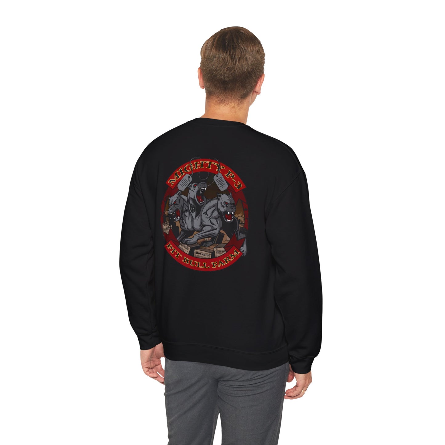 Old School Mighty P-3 w/ Red EGA Crewneck Sweater