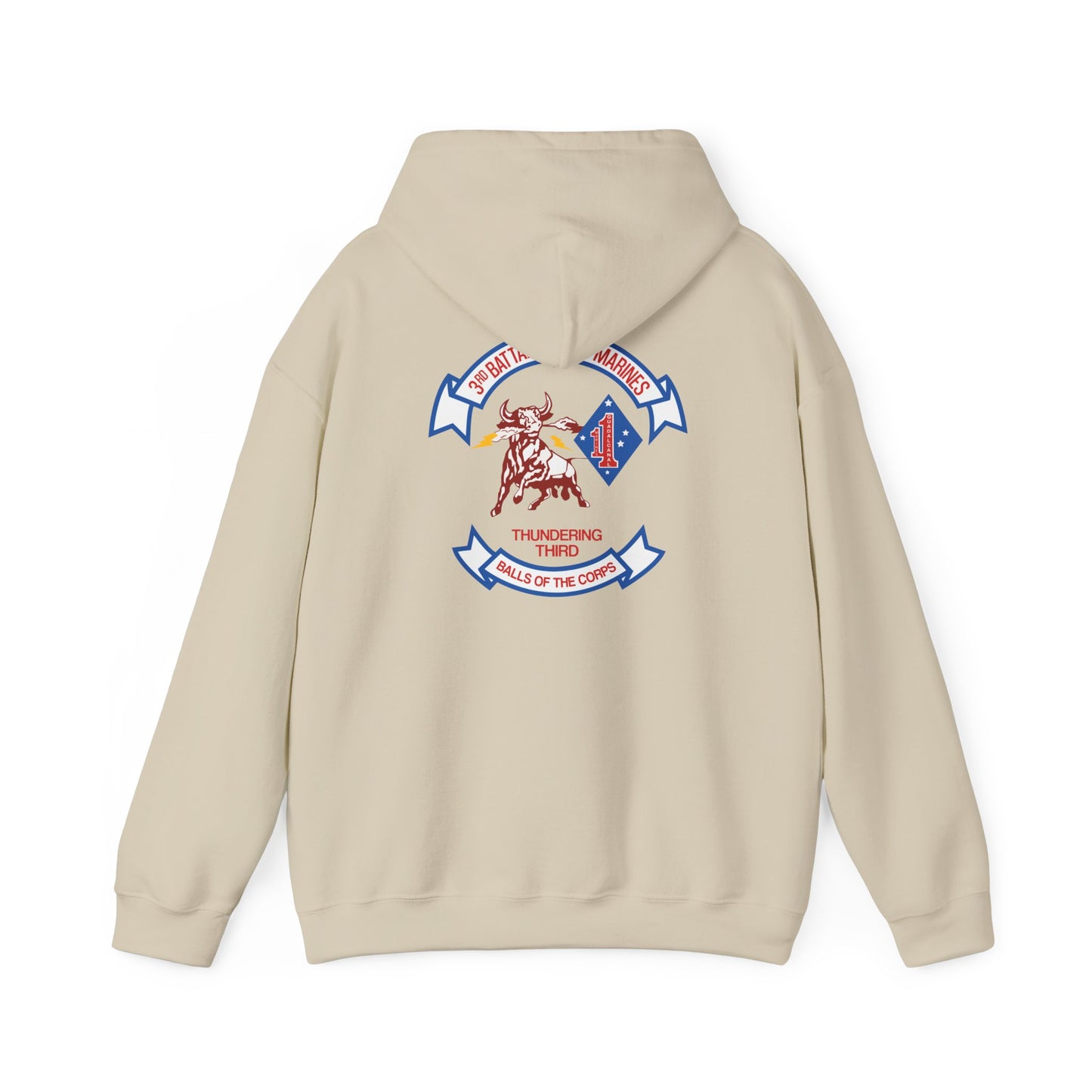 3rd Battalion 1st Marines Unit Hoodie