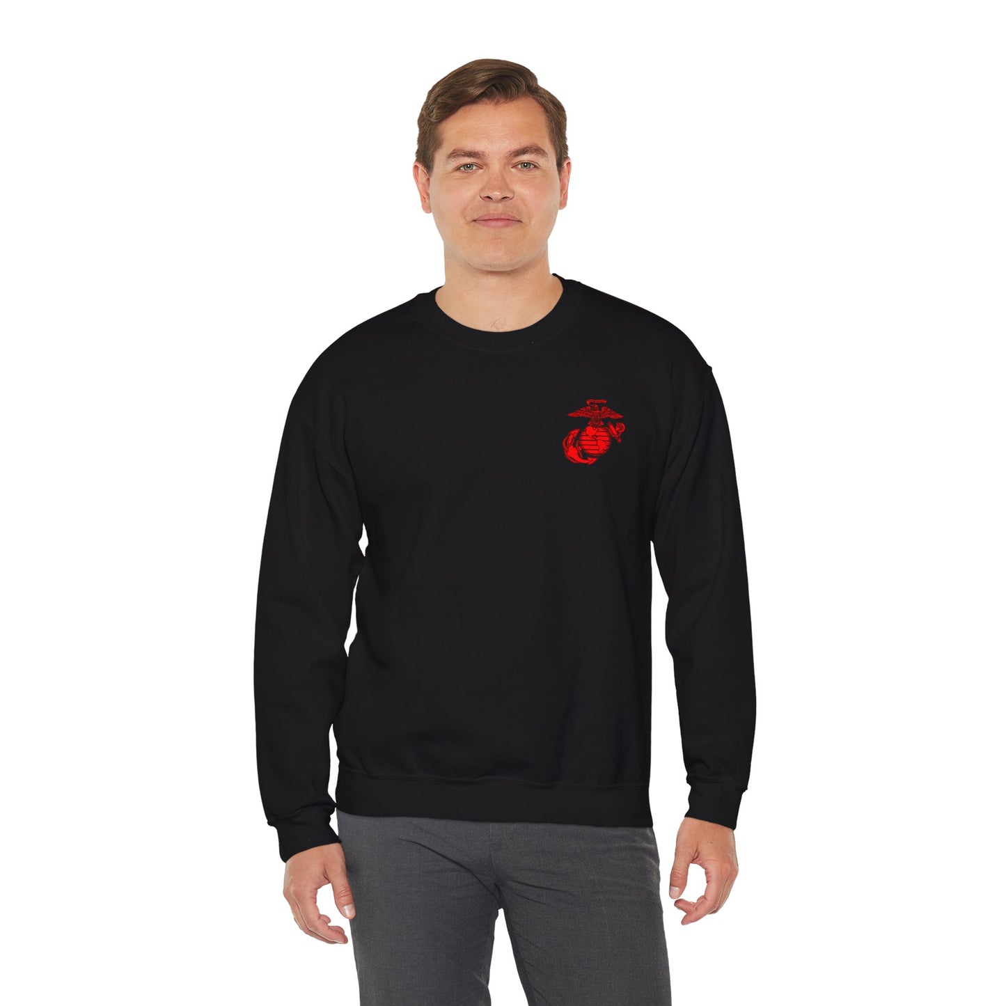 Old School Mighty P-3 w/ Red EGA Crewneck Sweater