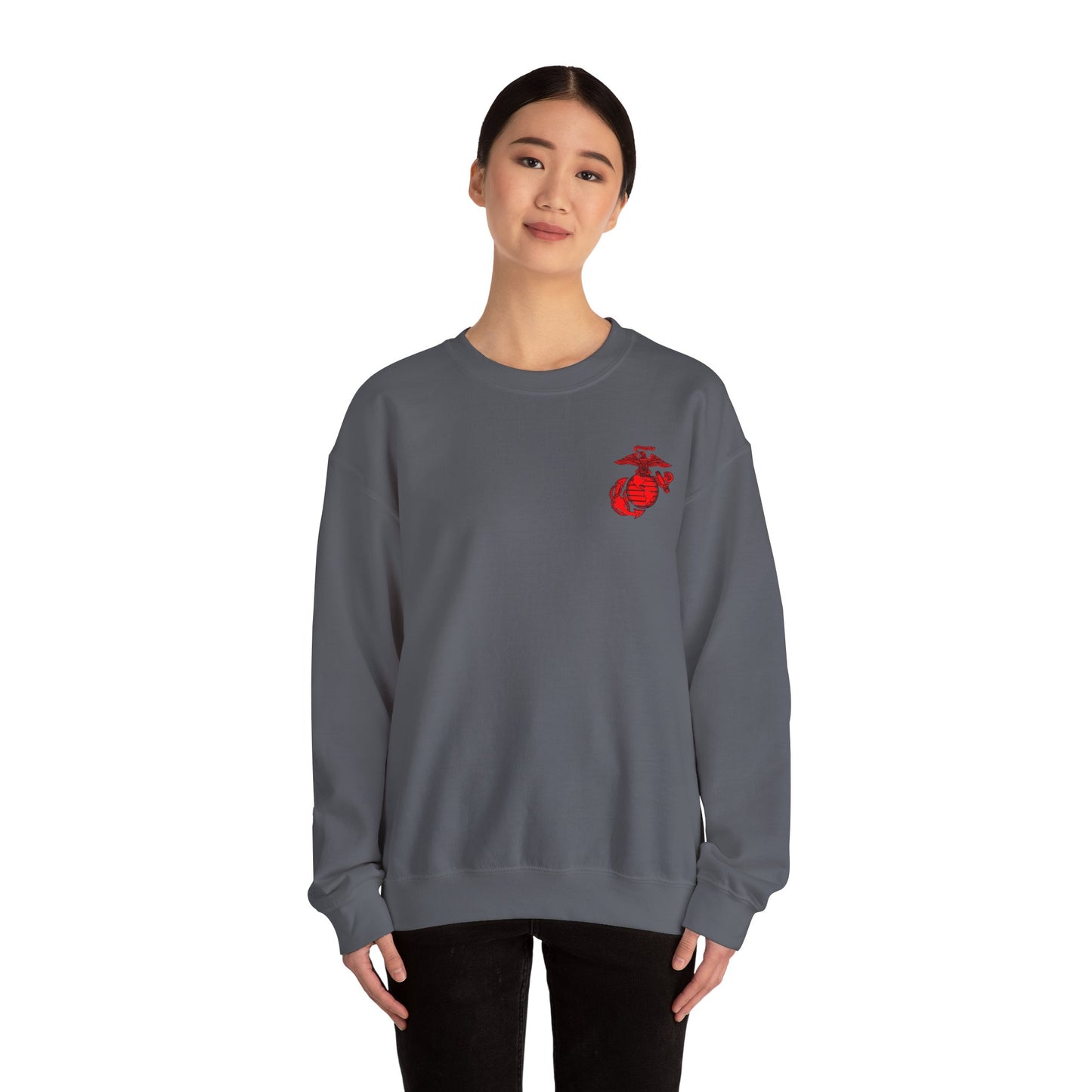 Old School Mighty P-3 w/ Red EGA Crewneck Sweater