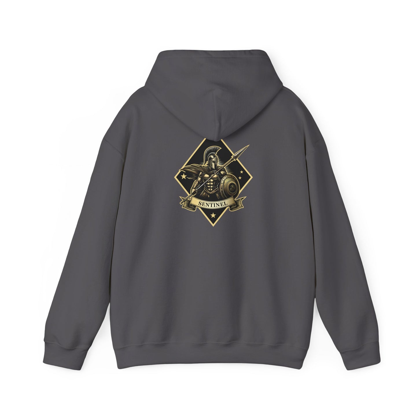 1st Marine Regiment White Logo Sentinel Company Hoodie