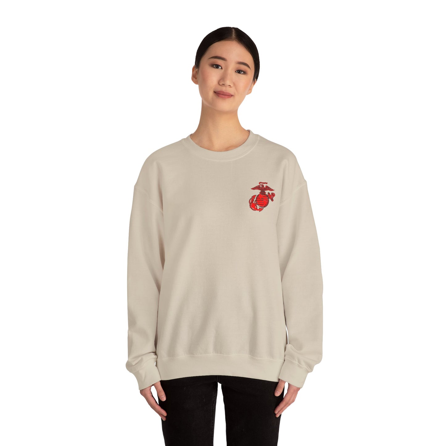 Old School Mighty P-3 w/ Red EGA Crewneck Sweater