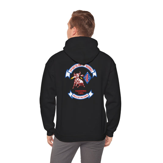 3rd Battalion 1st Marines Unit Hoodie