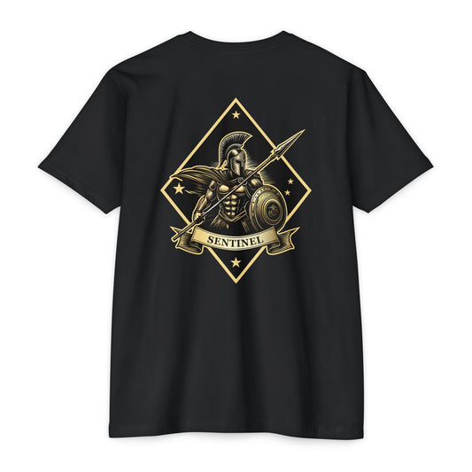 1st Marine Regiment Sentinel Company Black Tee