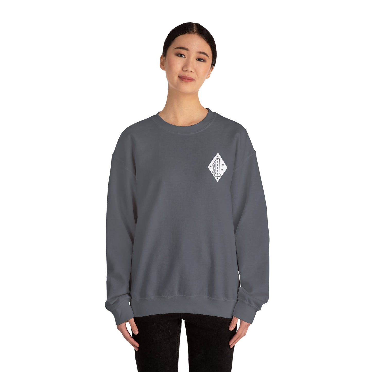 1st Marine Regiment White Logo Sentinel Company Sweater
